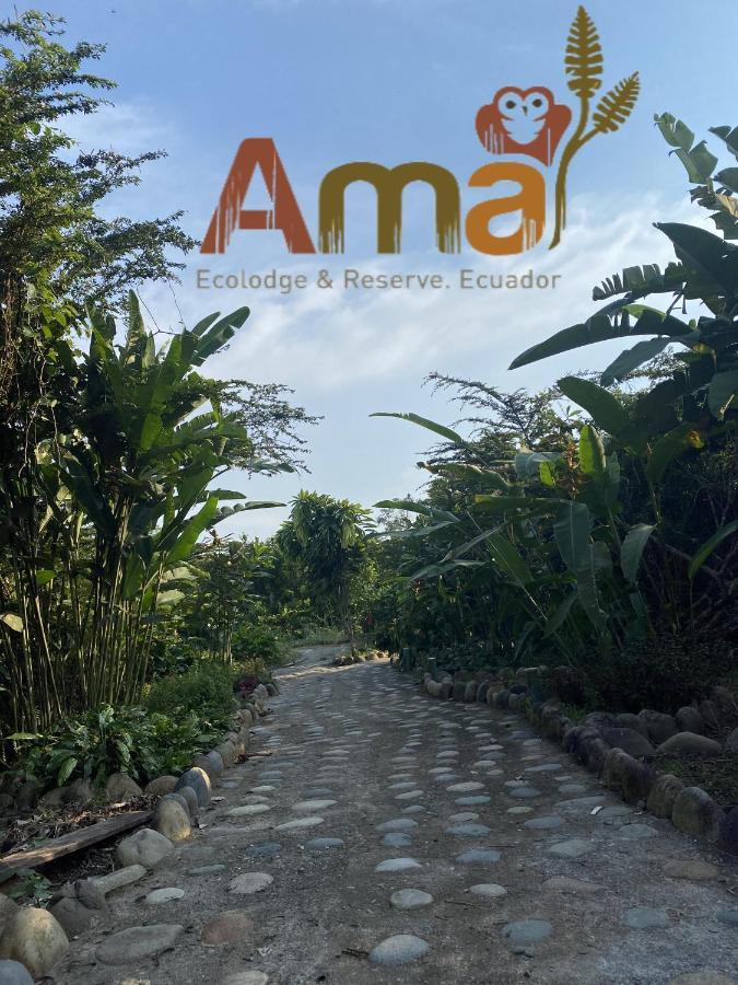 Ama Ecolodge Puerto Misahuallí Exteriér fotografie